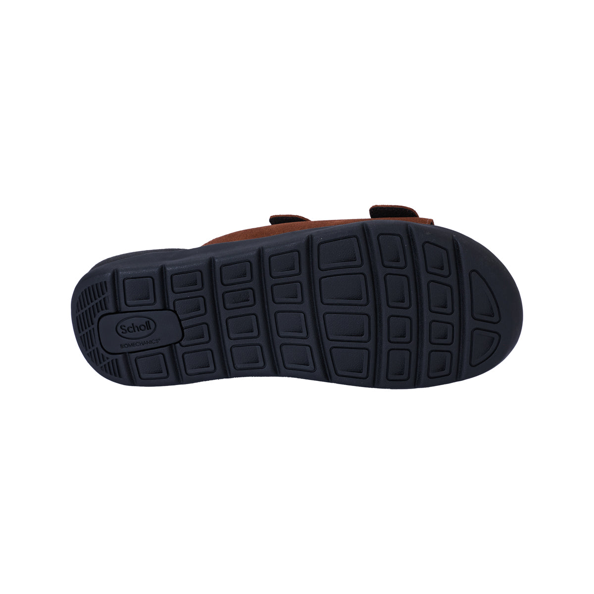 Scholl Shoes Thailand | Biom Berkeley