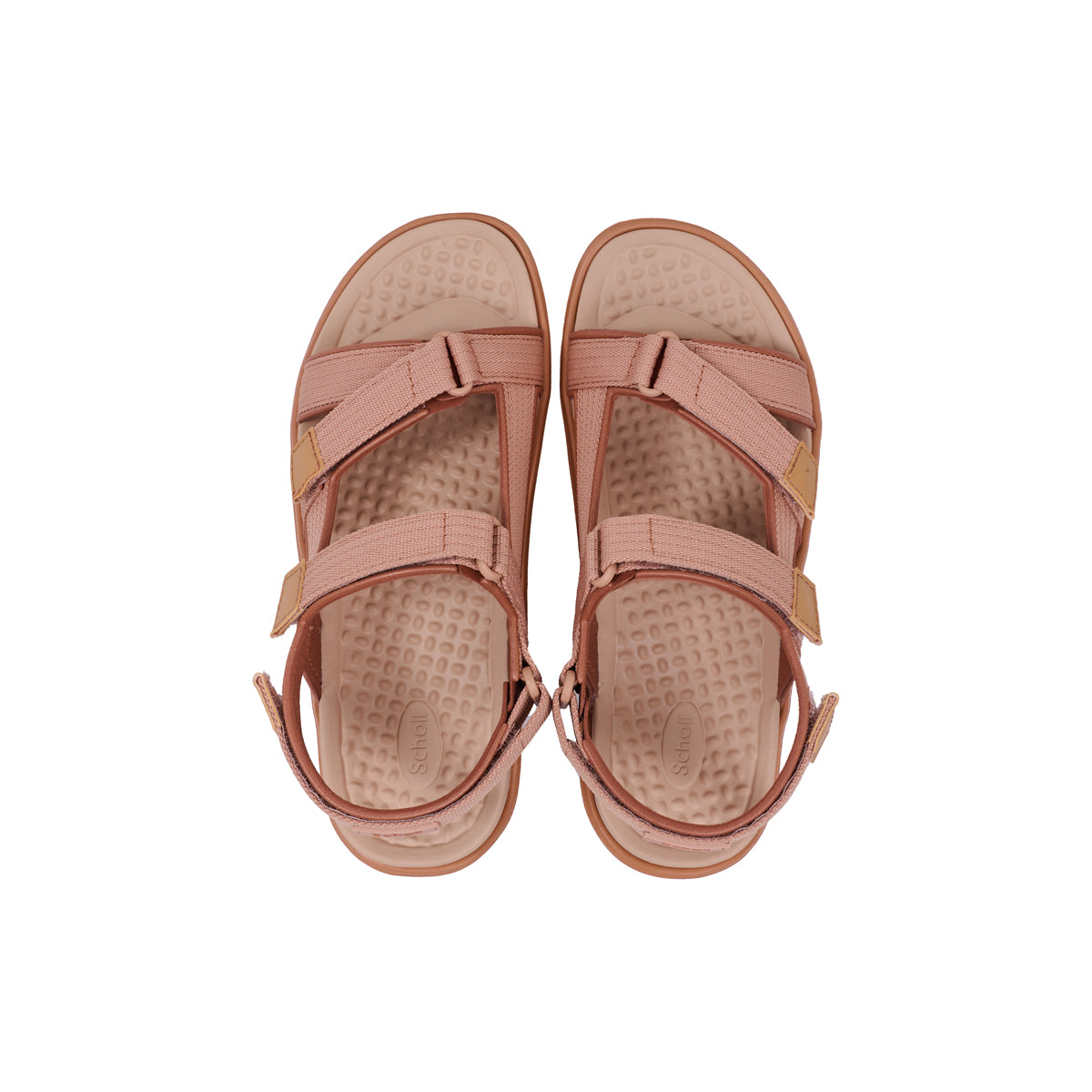 รองเท้าแตะ ผู้หญิง สกอลล์ รัดส้น รุ่น Africa - Scholl Shoes Thailand