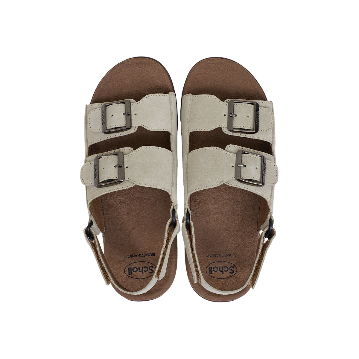 รองเท้าแตะ ผู้ชาย สกอลล์ รัดส้น รุ่น Biom Boston - Scholl Shoes Thailand