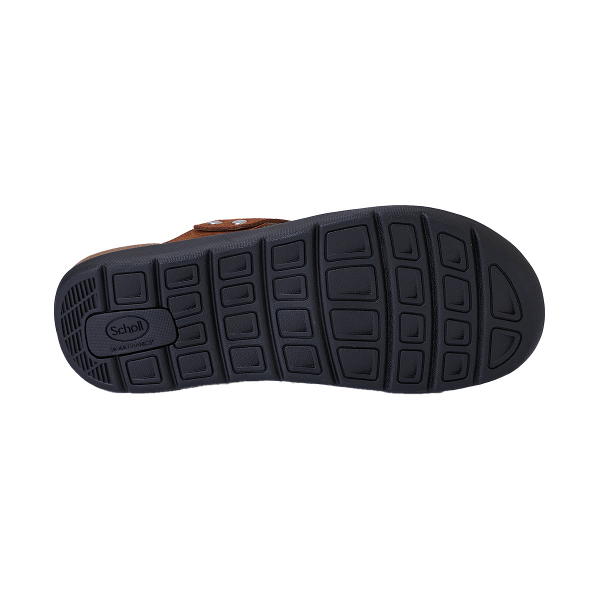 รองเท้าแตะ ผู้ชาย สกอลล์ หูหนีบ รุ่น Biom Detroit - Scholl Shoes Thailand