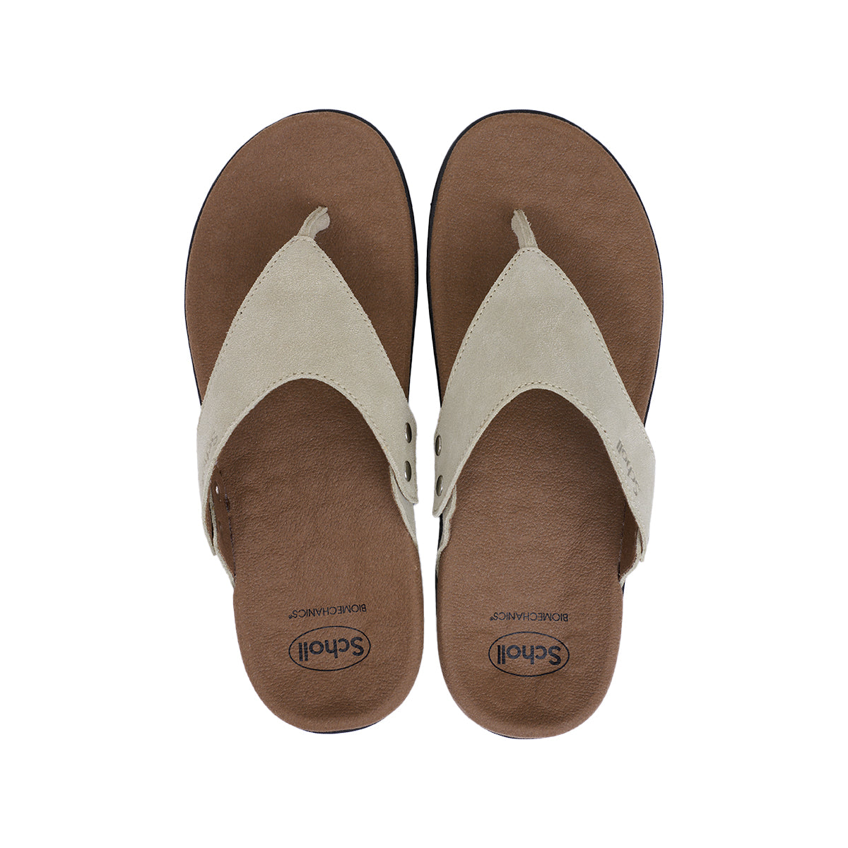 รองเท้าแตะ ผู้ชาย สกอลล์ หูหนีบ รุ่น Biom Detroit - Scholl Shoes Thailand
