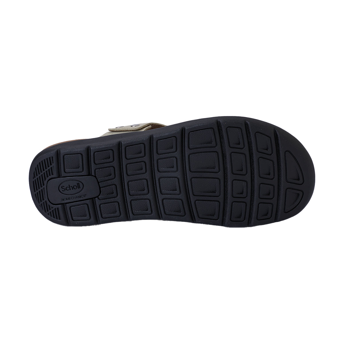 รองเท้าแตะ ผู้ชาย สกอลล์ หูหนีบ รุ่น Biom Detroit - Scholl Shoes Thailand