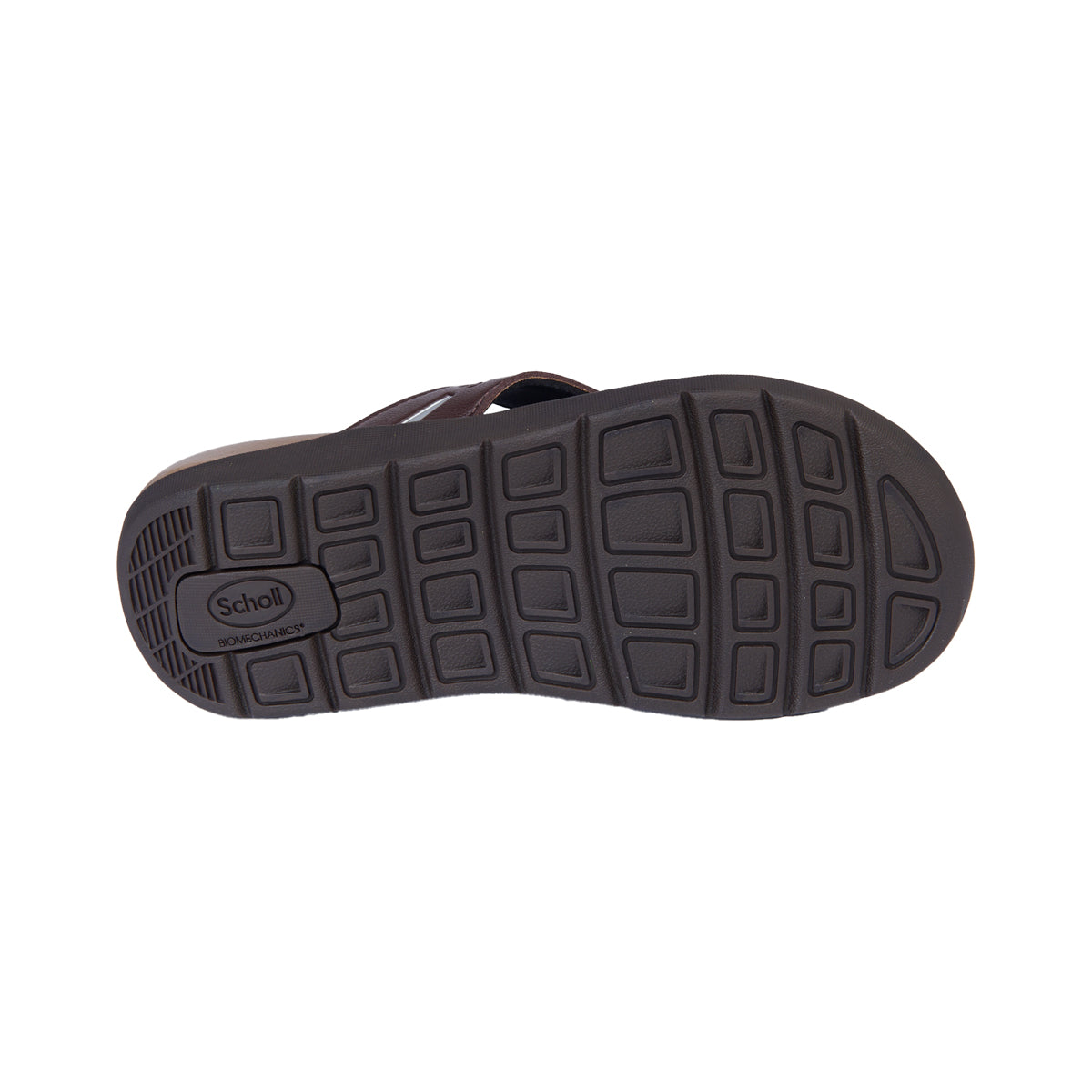 รองเท้าแตะ Unisex สกอลล์ หูหนีบ รุ่น Beck - Scholl Shoes Thailand