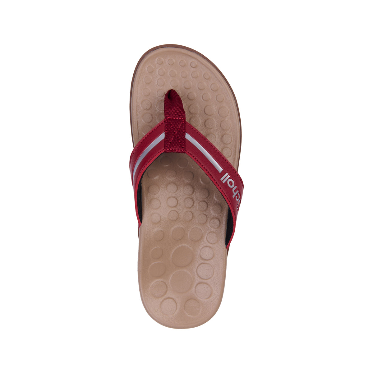 รองเท้าแตะ Unisex สกอลล์ หูหนีบ รุ่น Beck - Scholl Shoes Thailand