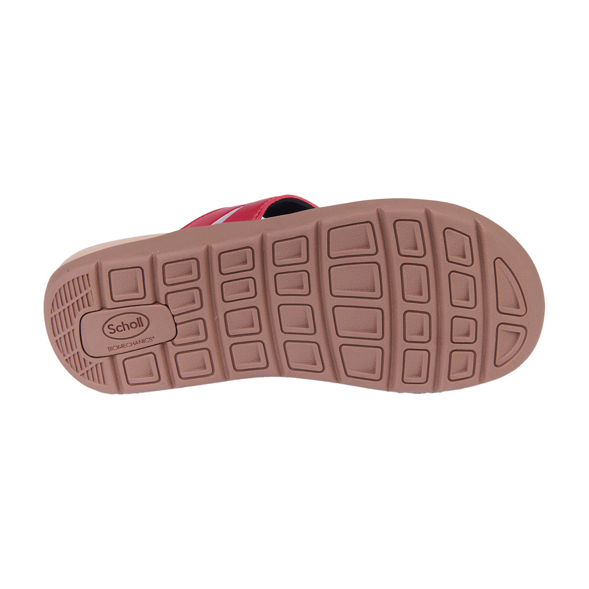 รองเท้าแตะ Unisex สกอลล์ หูหนีบ รุ่น Beck - Scholl Shoes Thailand