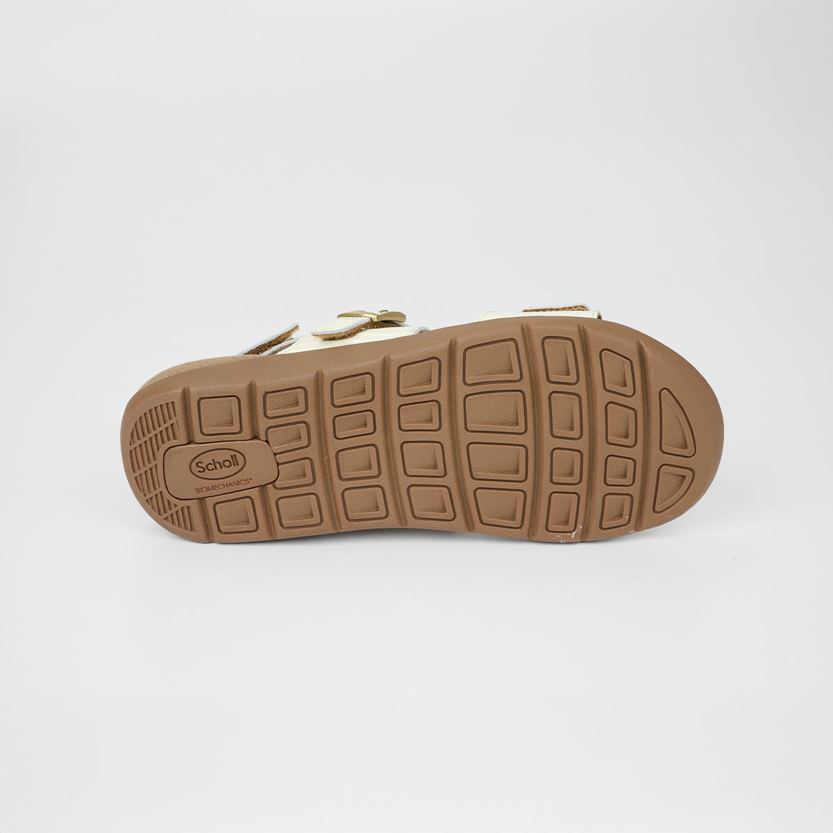 Biom Charlotte