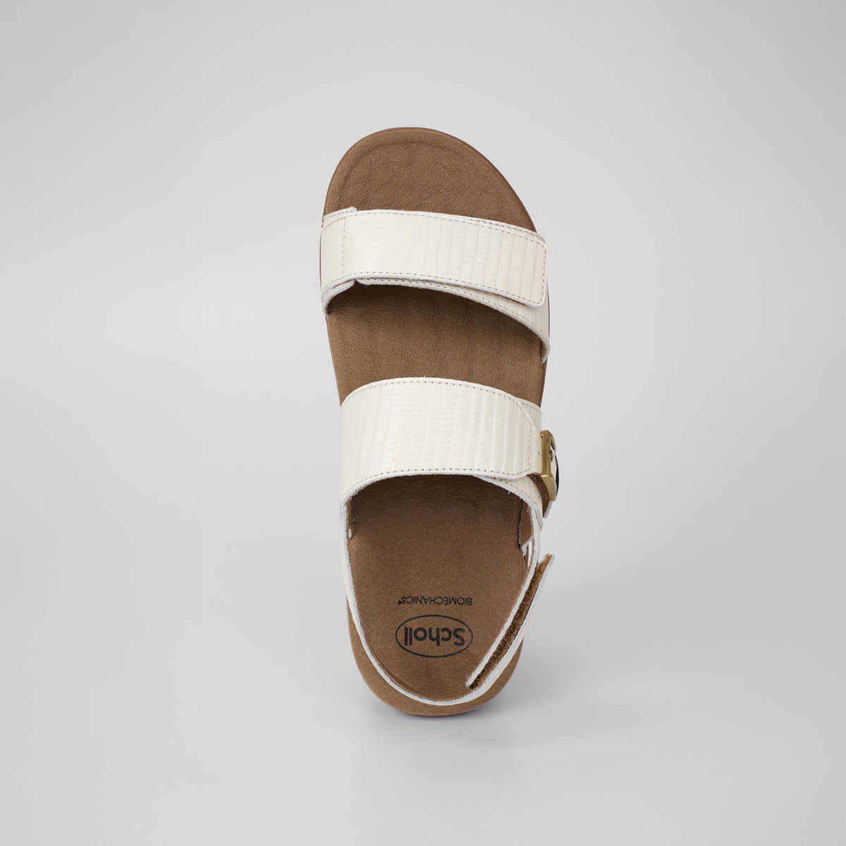 รองเท้ารัดส้น ผู้หญิง สกอลล์ รุ่น Biom Charlotte - Scholl Shoes Thailand