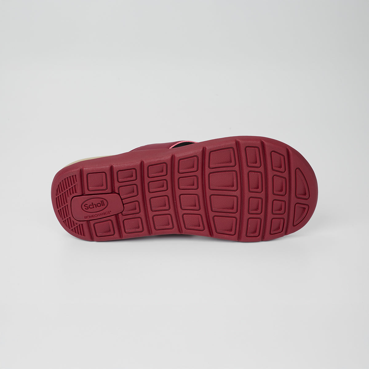 รองเท้าแตะหูหนีบ Unisex สกอลล์ รุ่น Biom Paul - Scholl Shoes Thailand