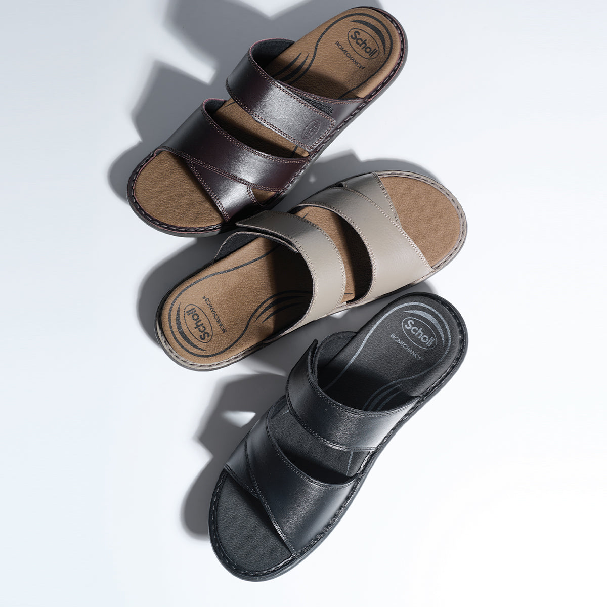 Scholl Shoes Thailand | Biom Quin