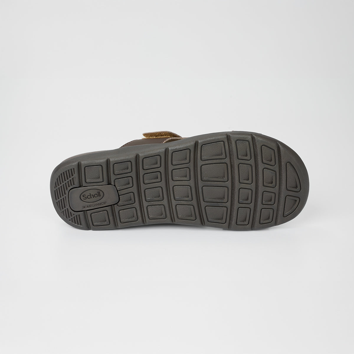 Scholl Shoes Thailand | Biom Robin