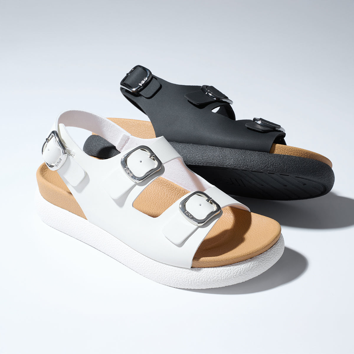 Scholl Shoes Thailand | Claire