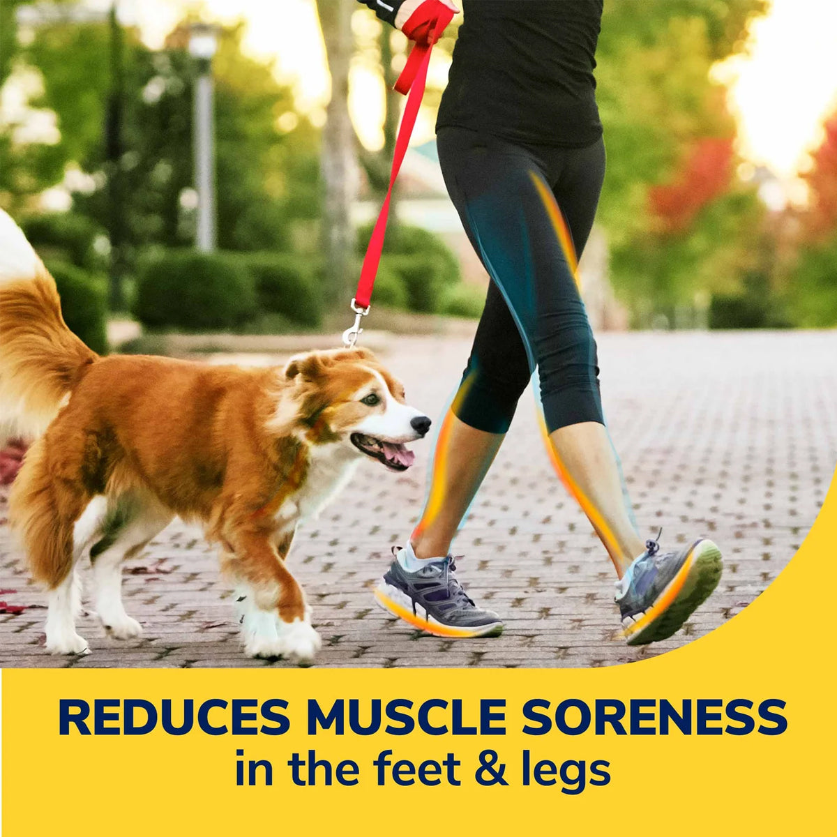 แผ่นรองเท้า สำหรับการเดิน Dr.Scholls Comfort Walk Longer Comfort Insoles - Scholl Shoes Thailand