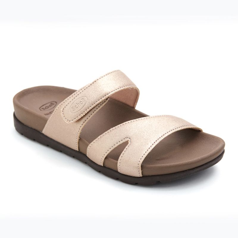 Ãͧà·éÒáµÐ ¼Ùé˭ԧ ʡÍÅÅì ẺÊÇÁ ÃØè¹ Hoya - Scholl Shoes Thailand