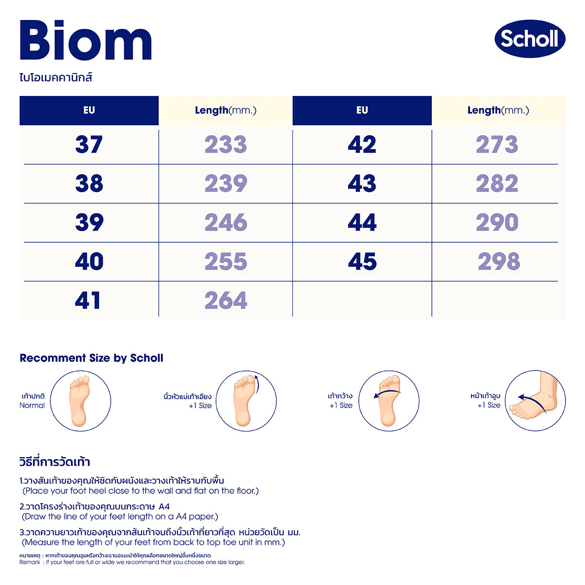 Scholl Shoes Thailand | Biom Quin