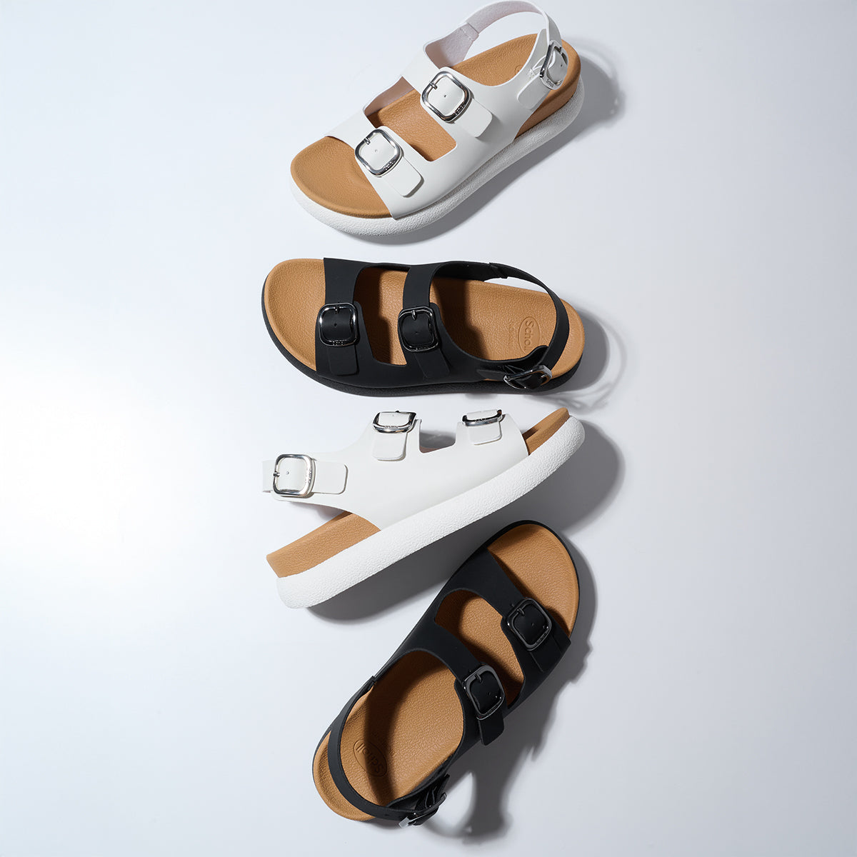 Scholl Shoes Thailand | Claire