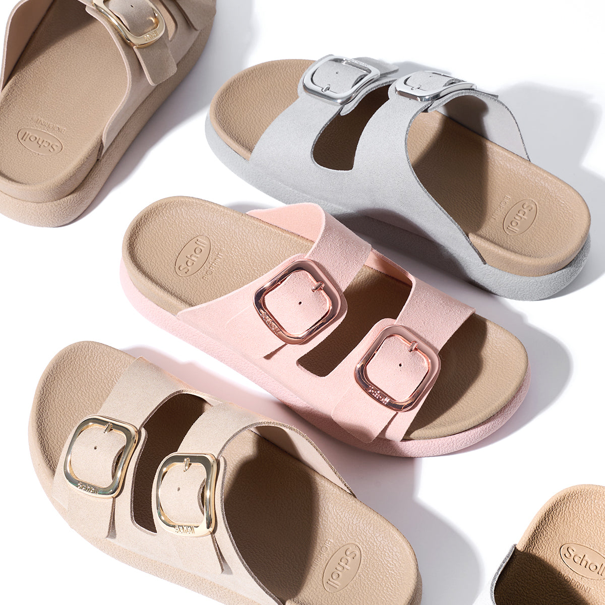Scholl Shoes Thailand | Molly