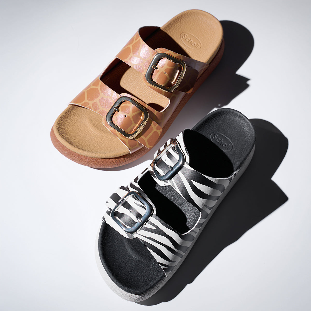 Scholl Shoes Thailand | Talina